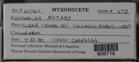Image Associated With the Occurence